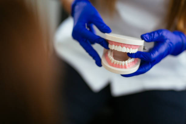 Best Dental Fillings (Composite and Amalgam)  in Crawfordville, FL
